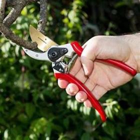 shears